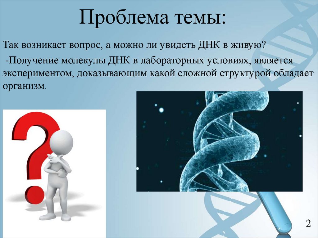 Презентация на тему ДНК. Презентация ДНК 10 класс. Тема и проблема. Темы по ДНК.