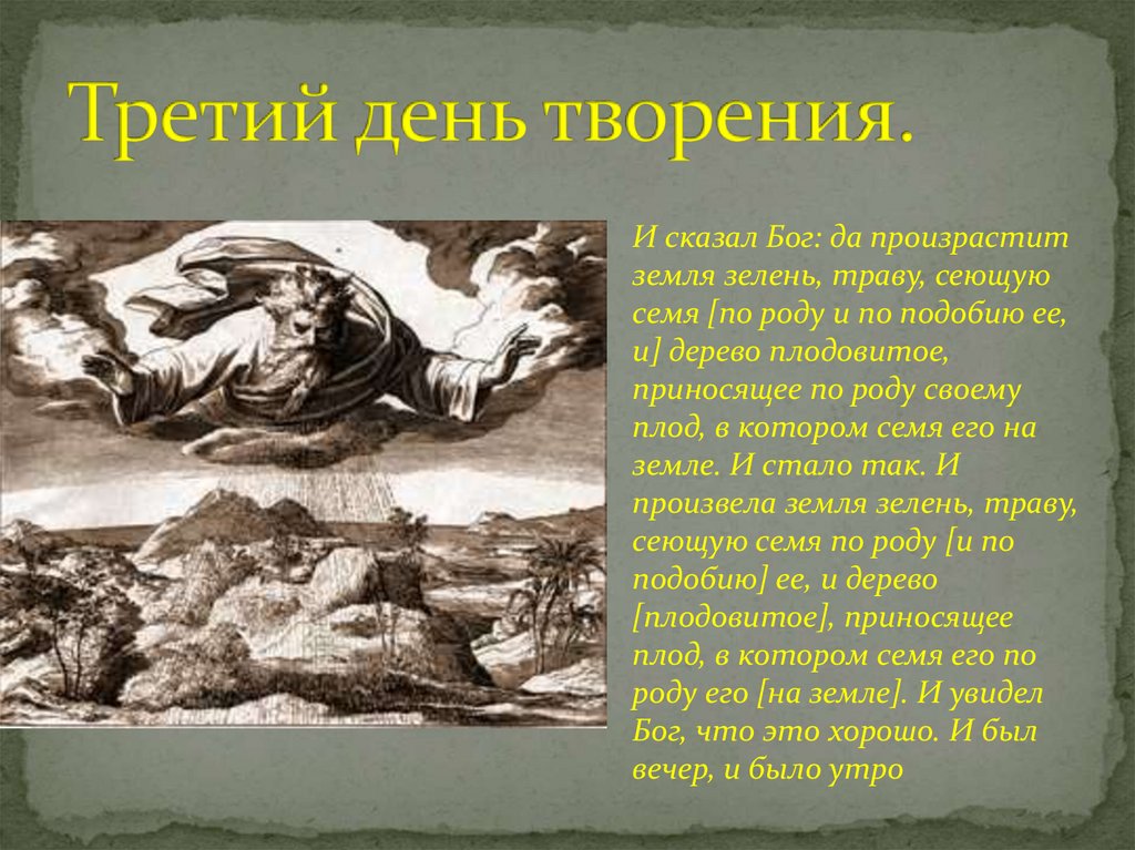 И произвела земля. Третий день творения. Третий день сотворения мира Богом. Третий день творения мира Богом. Первый и второй день творения.