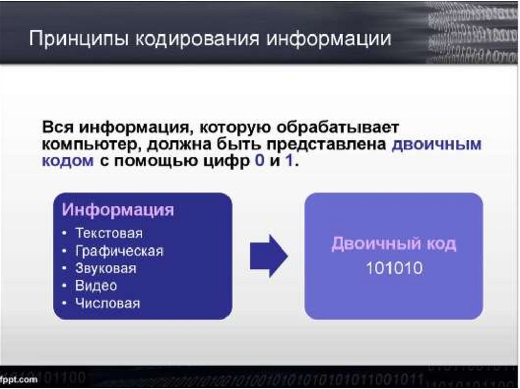 Тест по теме представление информации 7 класс. Тест по теме представление информации 7 класс