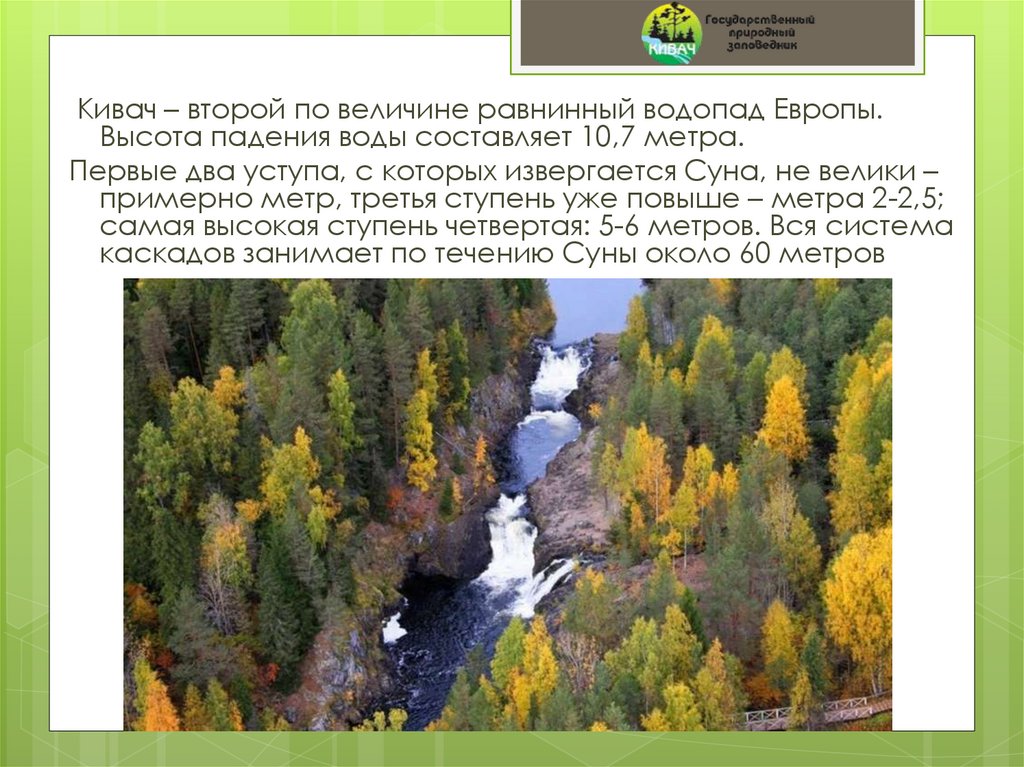 Второй по величине водопад в европе. Заповедник Кивач климат. Заповедник Кивач презентация. Природные условия заповедника Кивач. Кивач доклад.