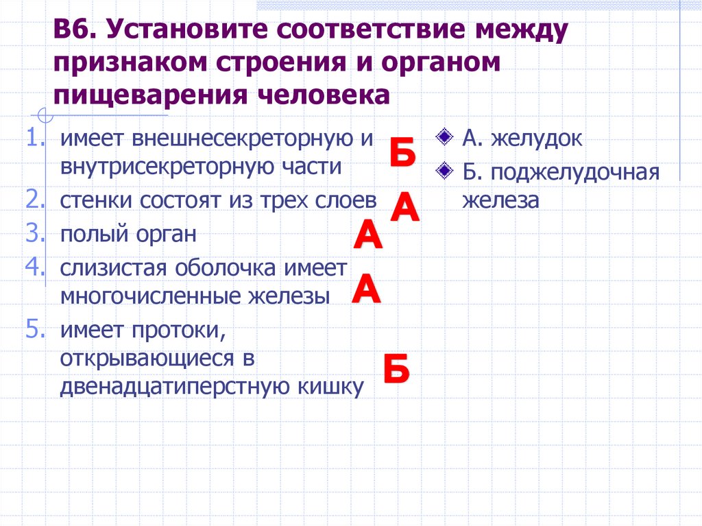 Установите соответствие между признаками и формами