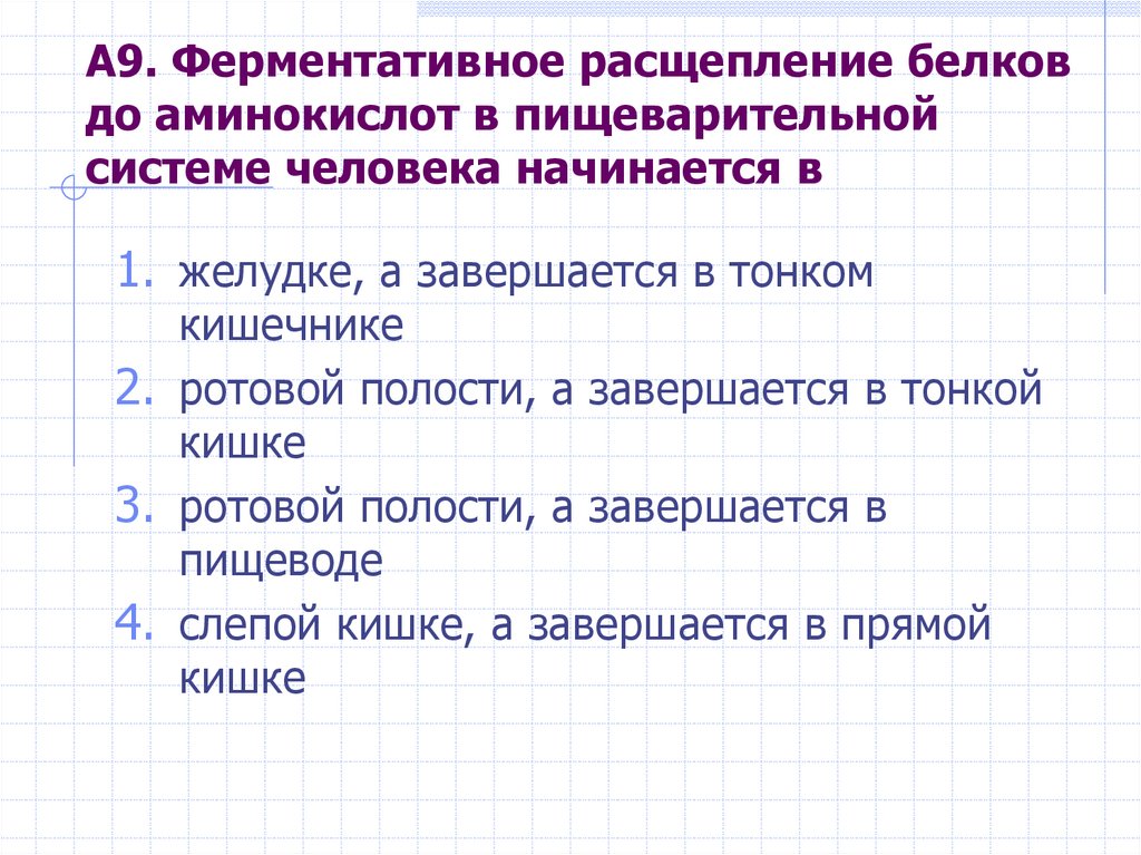 Расщепление белков. Ферментативное расщепление белков до аминокислот. Расщепление белков до аминокислот.