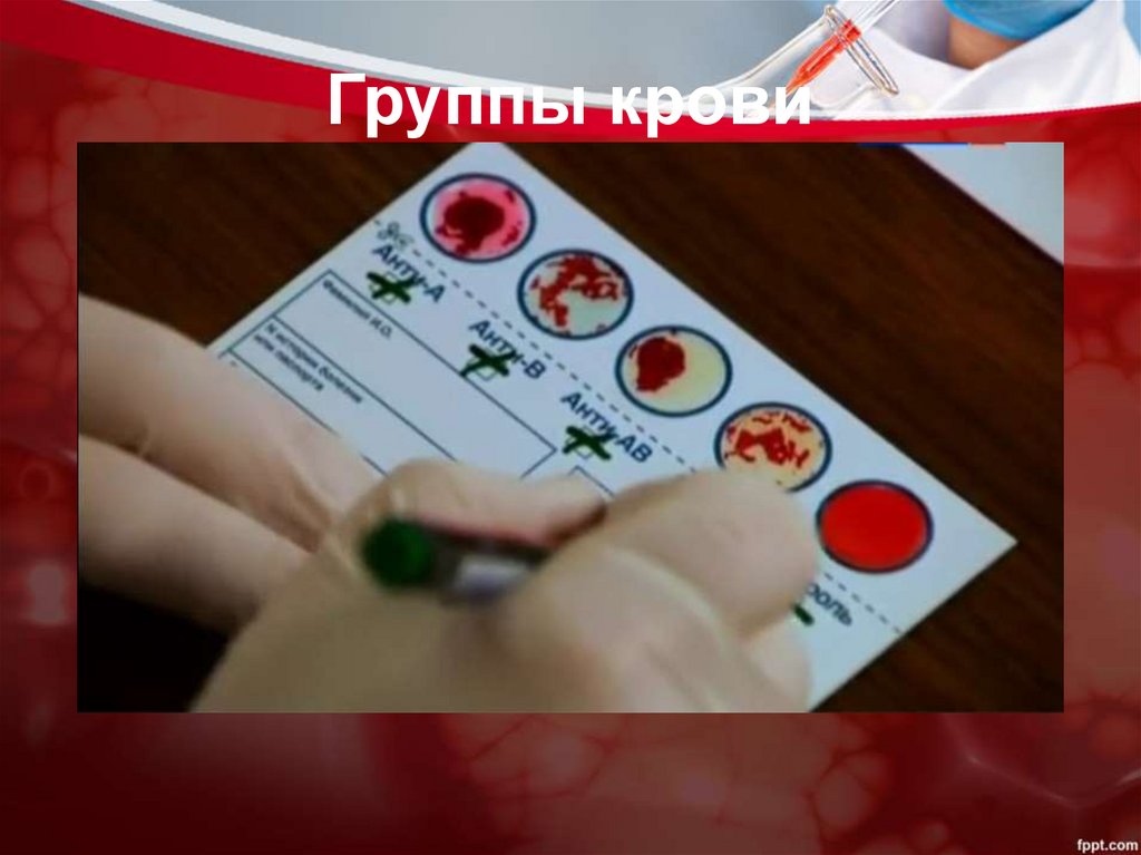 Группы крови