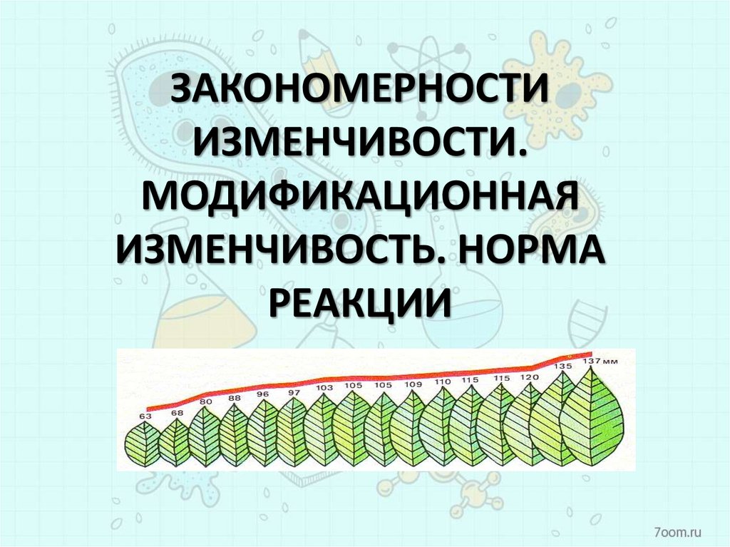 Модификационная изменчивость пименов презентация