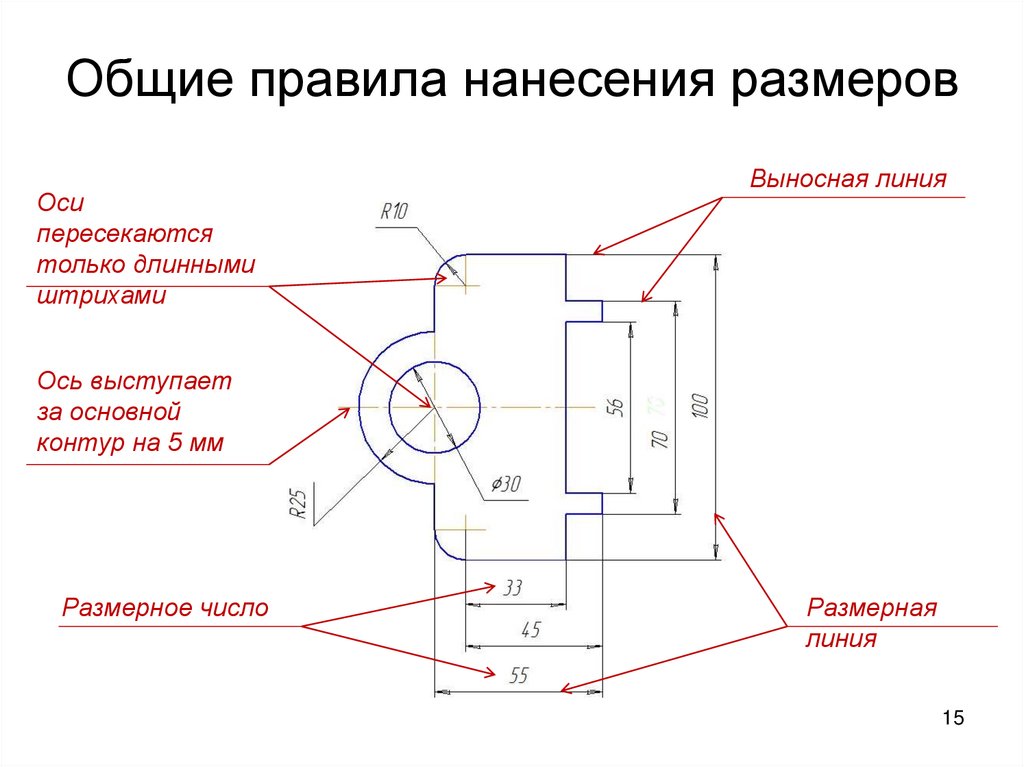 Чертеж со всеми линиями чертежа