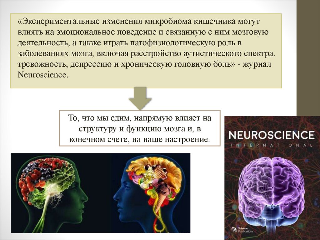 Результат деятельности мозга. Заболевания связанные с мозгом. Заболевания головного мозга перечень. Мозг и поведение.