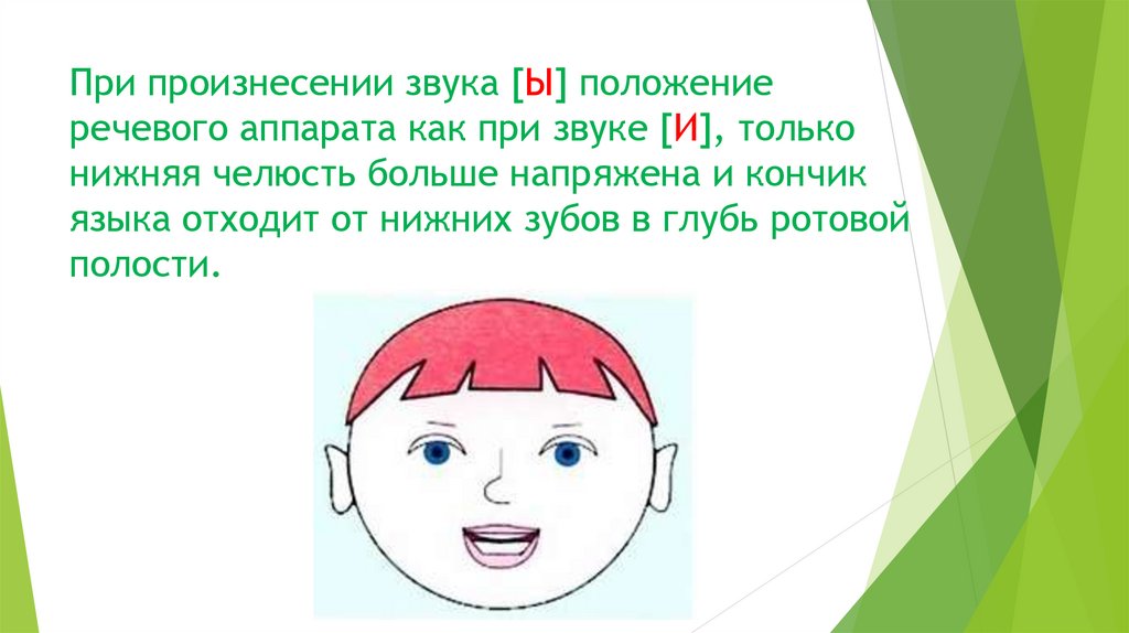 Произнесение звуков в слове. Положение речевого аппарата при произнесении звуков. Положение губ при произнесении звука с. Речевой аппарат призвуках. Положение речевого аппарата звука щ.