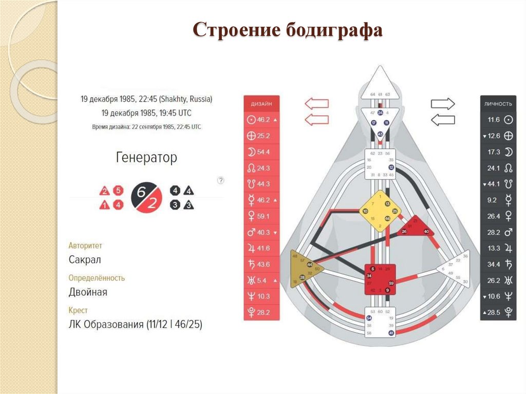 Ленин дизайн человека карта