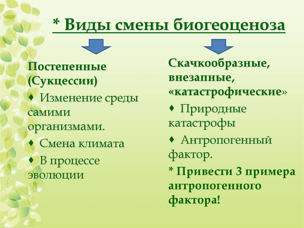 Экологическая сукцессия презентация