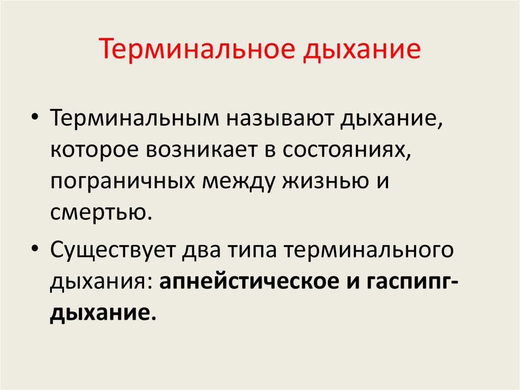 Терминальный проект это