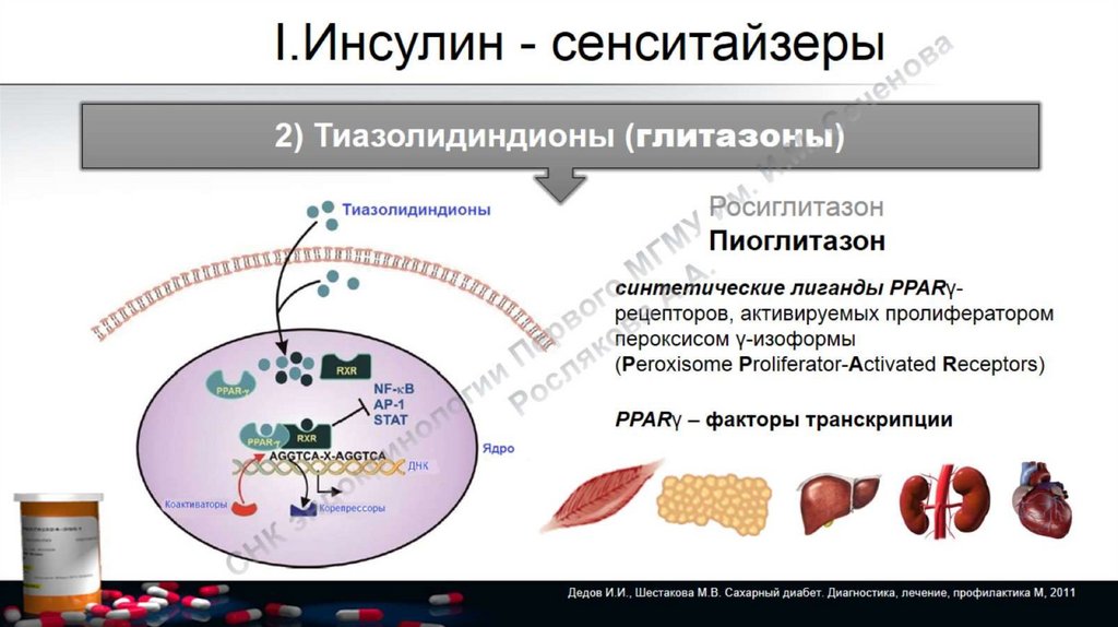 Диабет 2 типа отзывы. Сенситайзеры инсулина механизм действия. Инсулиновые сенситайзеры механизм действия. Тиазолидиндионы механизм. Тиазолидиндионы (глитазоны).