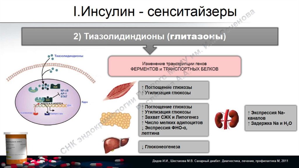 Лечение сахарного диабета 2 типа презентация