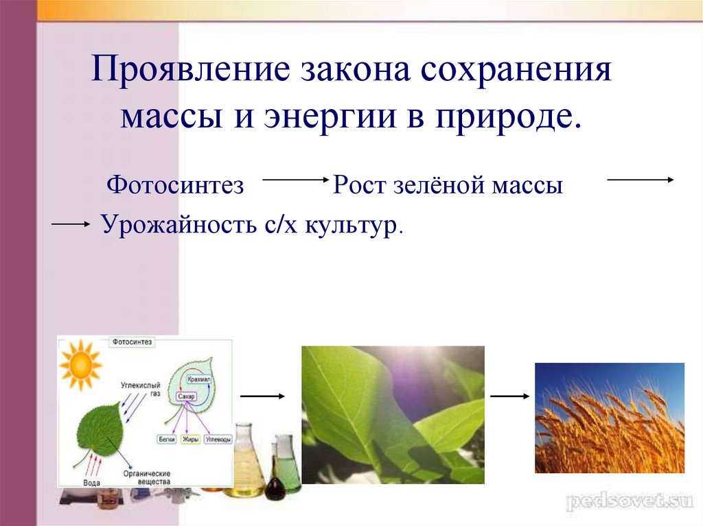 Проявление законов сохранения в природе