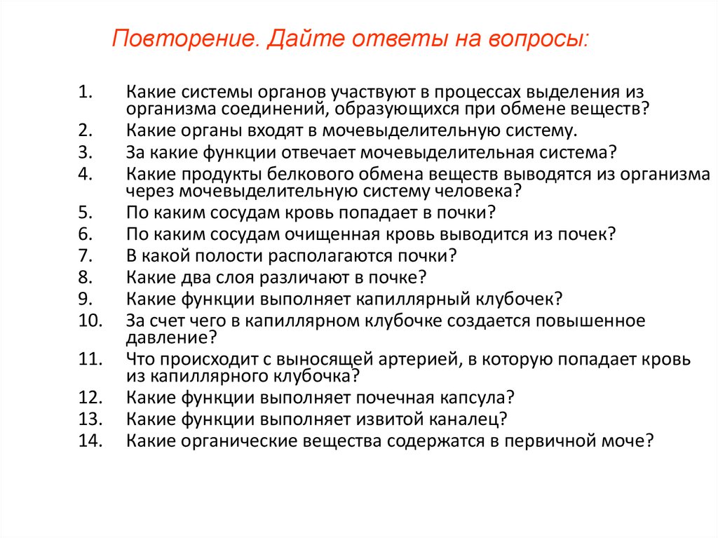 Вопросы системы органов. Вопросы по выделительной системе. Вопросы по мочевыделительной системе. Вопросы про выделительную систему. Вопросы на тему выделительная система.