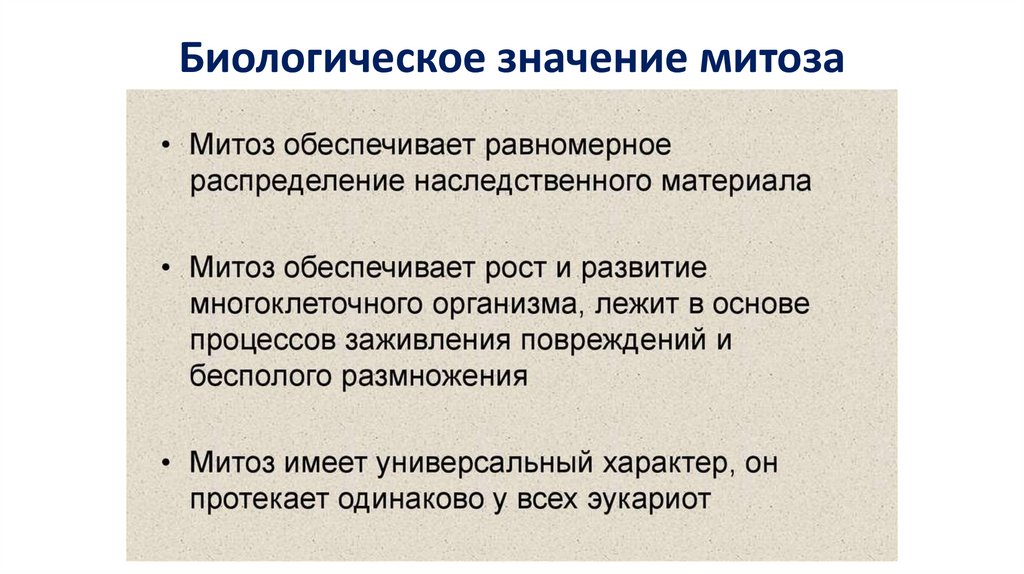 Биологическое значение митоза