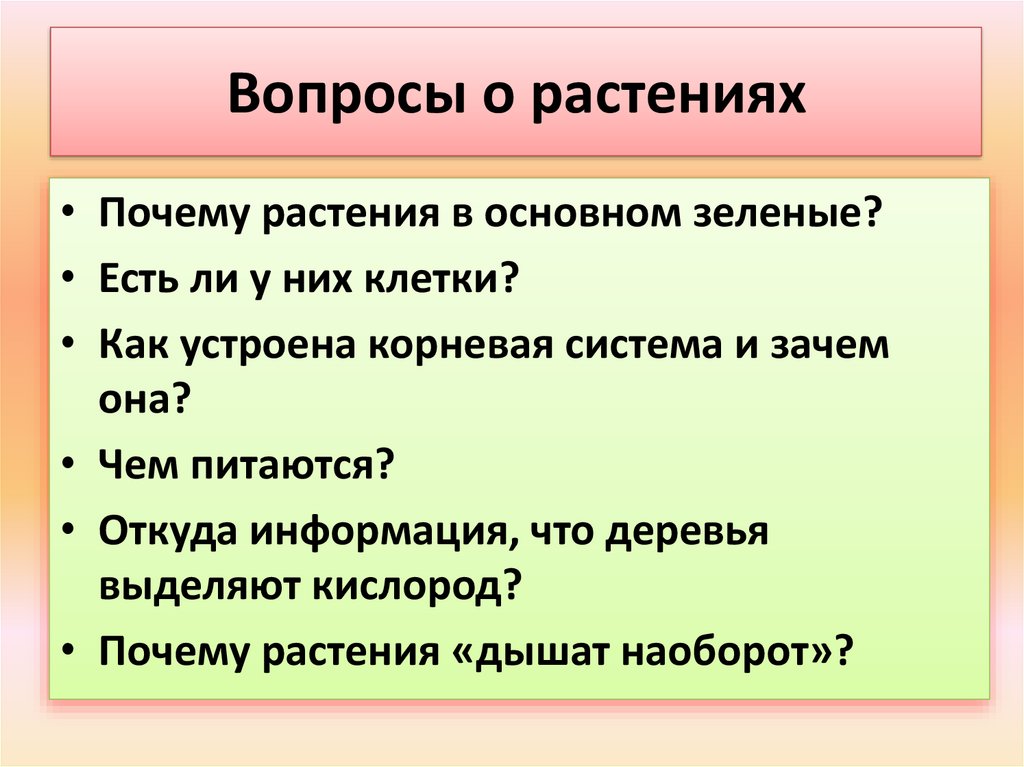 Вопросы по дыханию растений