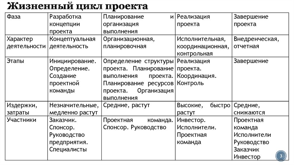 Экономическая модель проекта пример