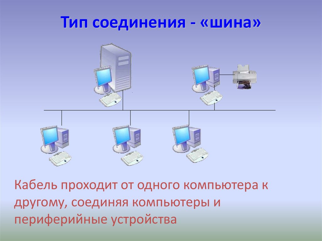 Тест сети 8 класс