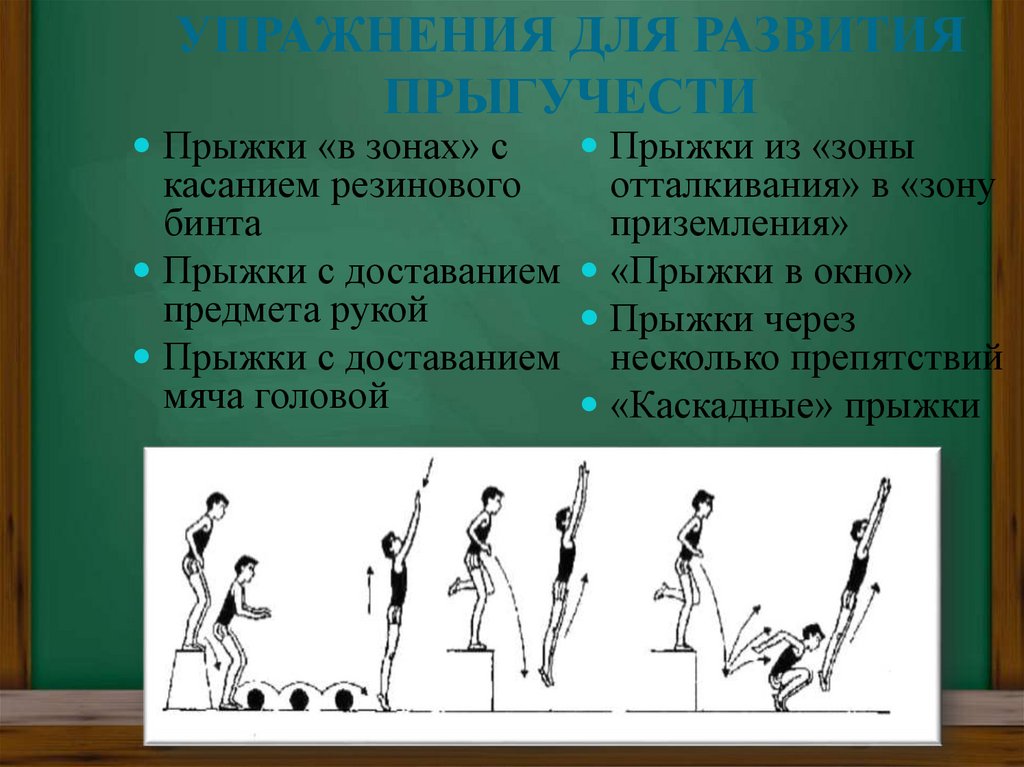 Ловкость и прыгучесть. Упражнения для развития прыгучести. Упражнения развивающие прыгучесть. Специальные упражнения для развития прыгучести. Упражнения для развития прыгучести в высоту.