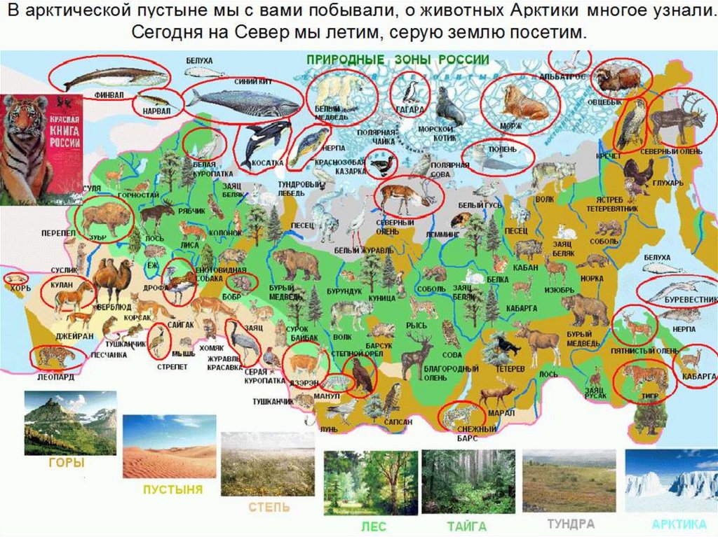 Карта татарстана природные зоны