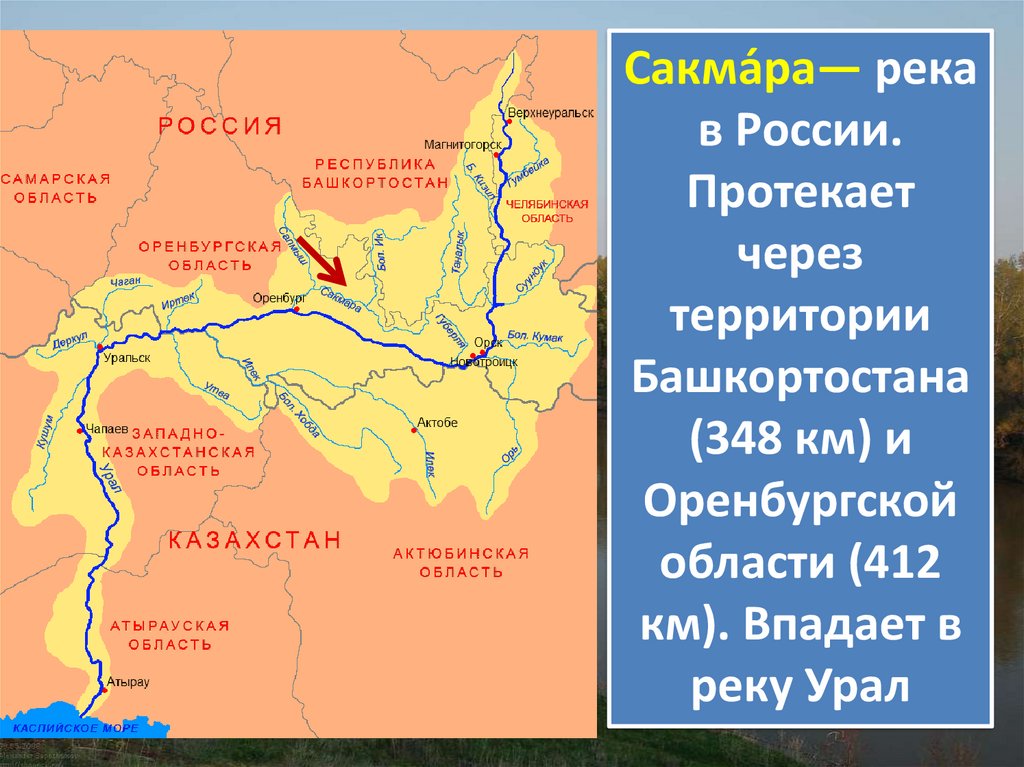 Какие реки есть в оренбурге. Река Сакмара Оренбург на карте. Река Урал на карте. Исток реки Урал в Оренбургской области. Река Урал бассейн реки.
