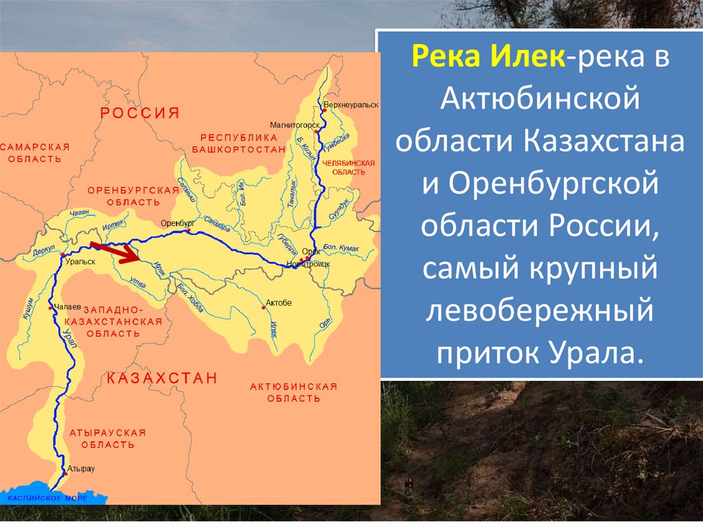 Куда впадает урал в какое море. Река Илек в Казахстане. Реки Оренбургской области. Притоки Урала. Самые крупные реки Оренбургской области.