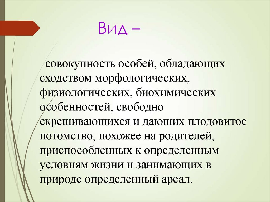 Вид –
