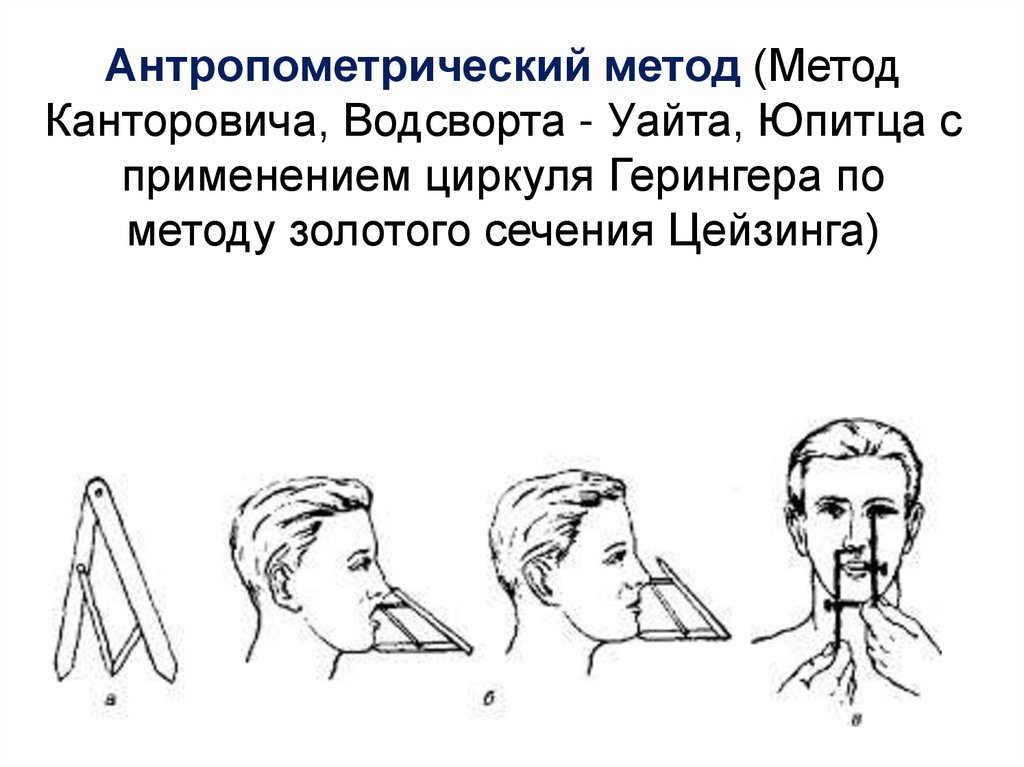 Метод золотого сечения. Антропометрический метод определения высоты прикуса. Метод Юпитца для определения центрального соотношения челюстей. Методы определения центральной окклюзии антропометрический. Водсворт Уайта антропометрический метод.