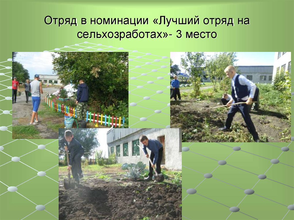 Отряд в номинации «Лучший отряд на сельхозработах»- 3 место