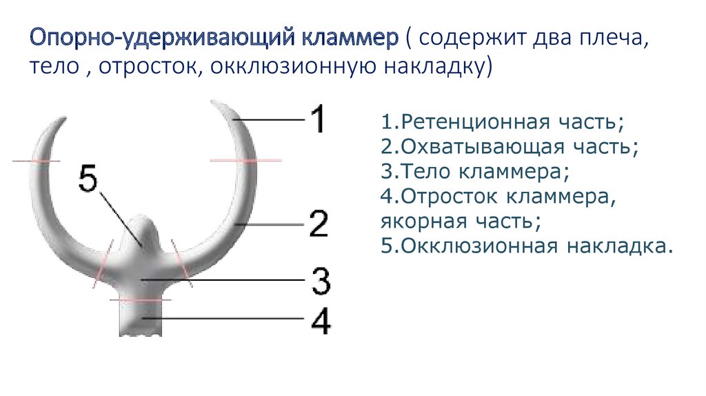 Окклюзионная схема кувата