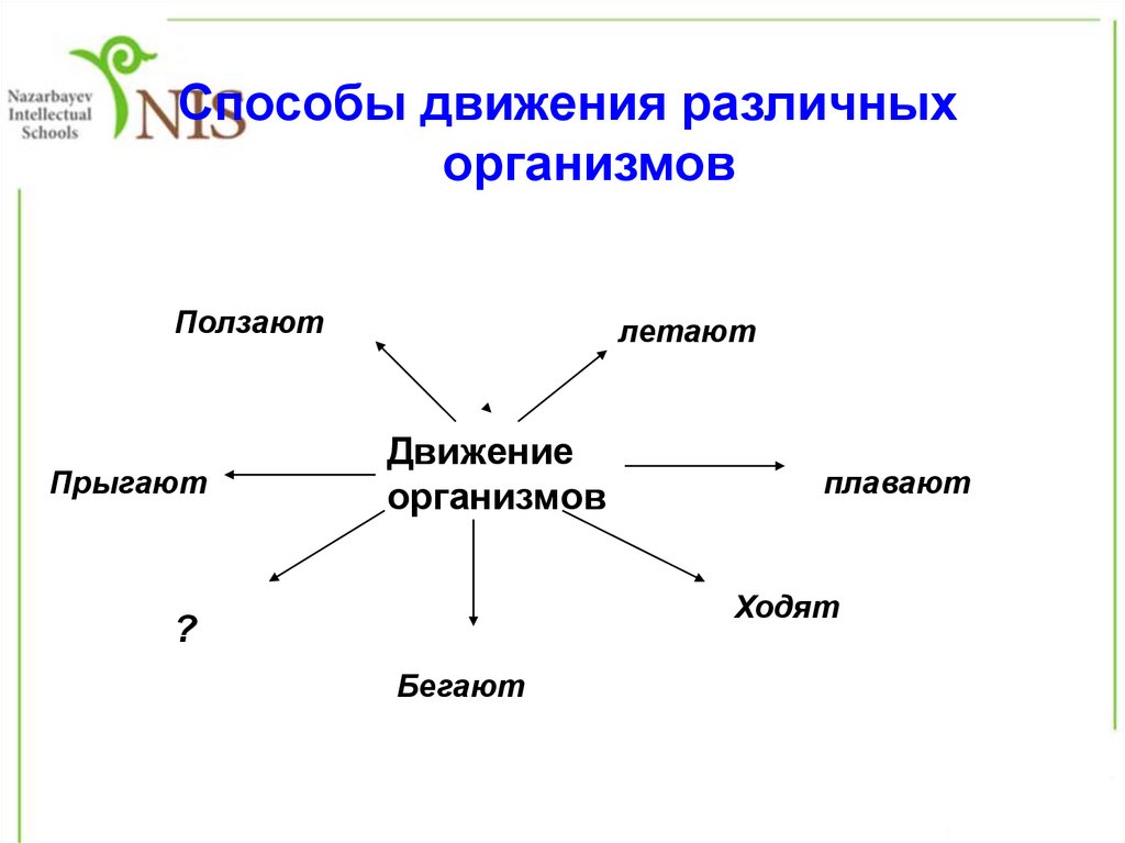 Кто такие что такое движение 1. Кто такие что такое движение 1