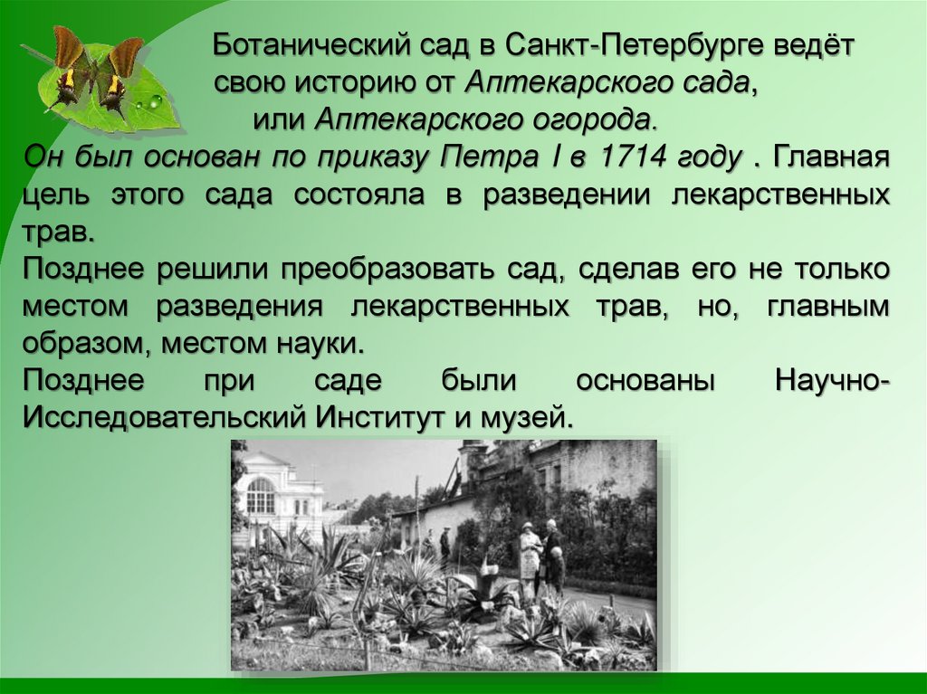 Город сад 1 класс. Ботанический сад Санкт-Петербург презентация. Аптекарский огород Петербург 1714. Аптекарский огород Петра 1 в Москве.