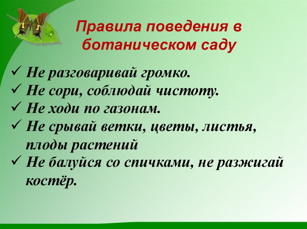 Ботанический сад 1 класс перспектива презентация