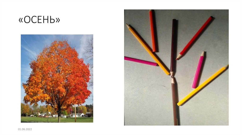 «ОСЕНЬ»