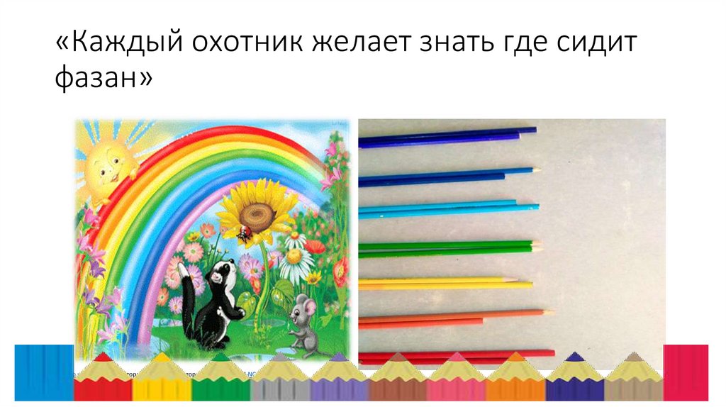 «Каждый охотник желает знать где сидит фазан»