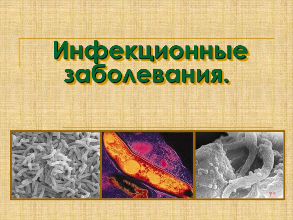 Инфекционные заболевания презентация по биологии