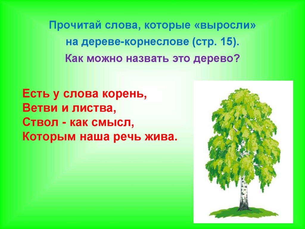 Корень в слове ветвями. Ветка корень слова. Цитата про семья- это дерево с разными ветвями, но корень один. Какой корень у слова листвой.