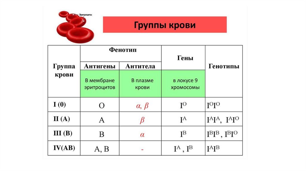 Определите группу крови тест