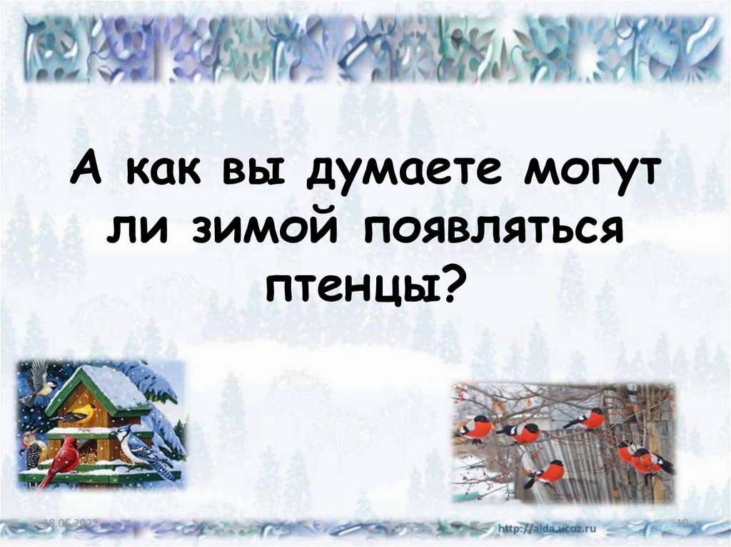 А как вы думаете могут ли зимой появляться птенцы?