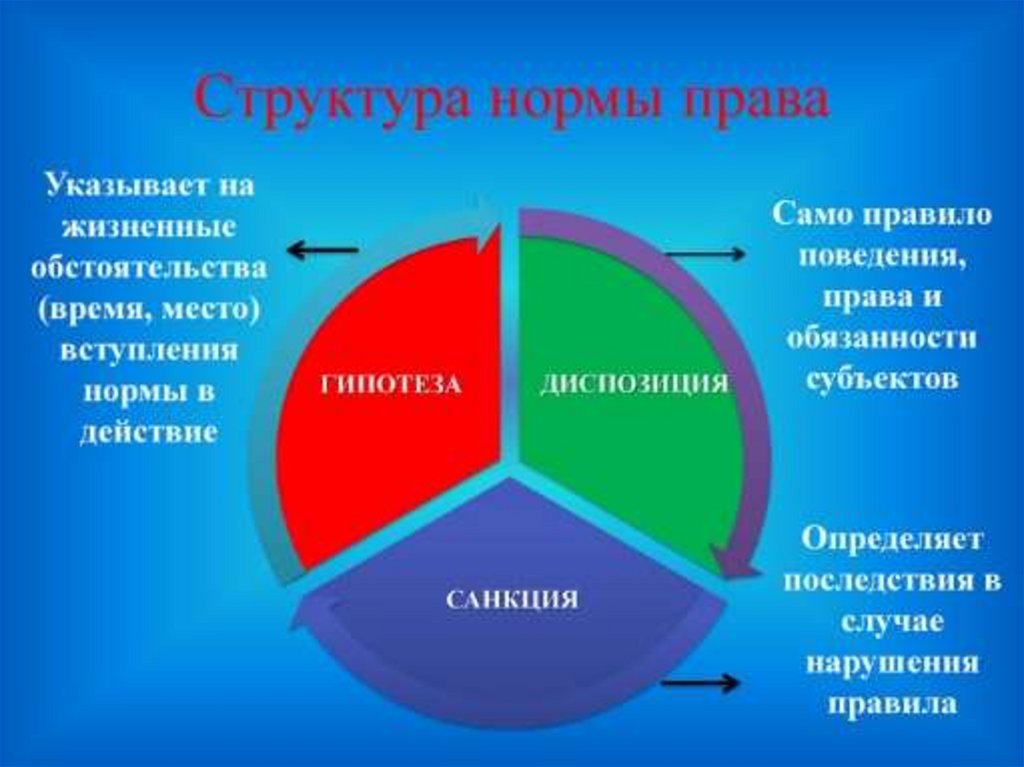 Структура нормы права презентация