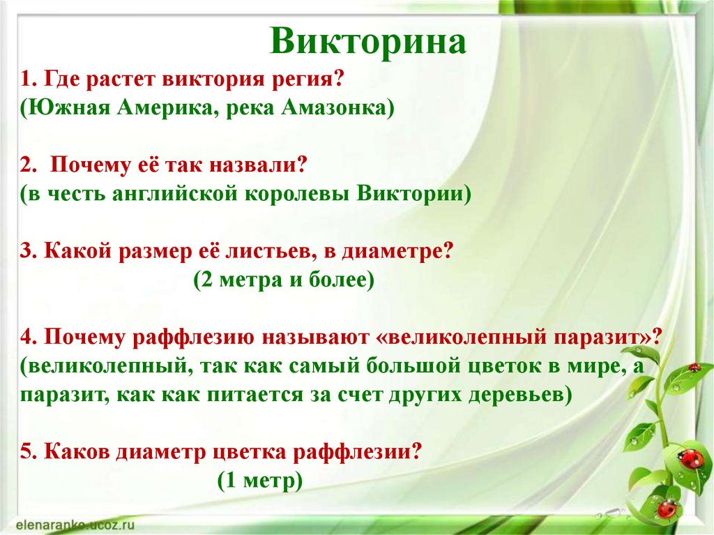 Как сделать викторину в презентации с ответами