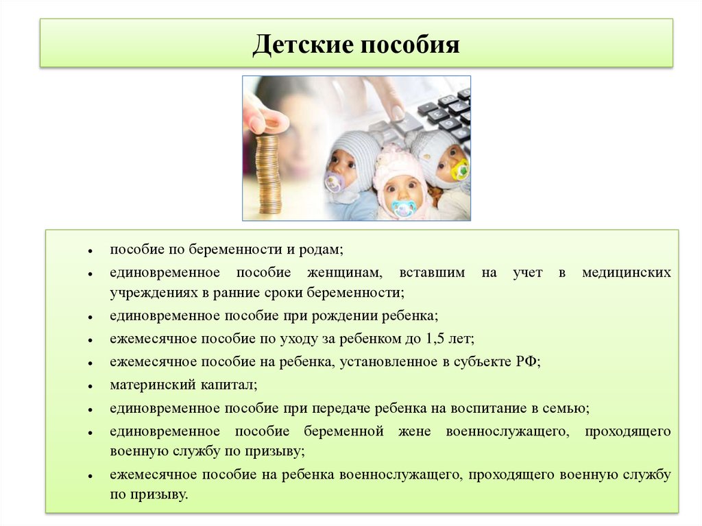 Семья и государство как они взаимодействуют презентация