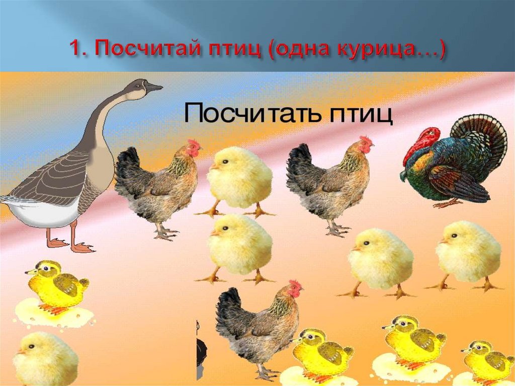 1. Посчитай птиц (одна курица…)