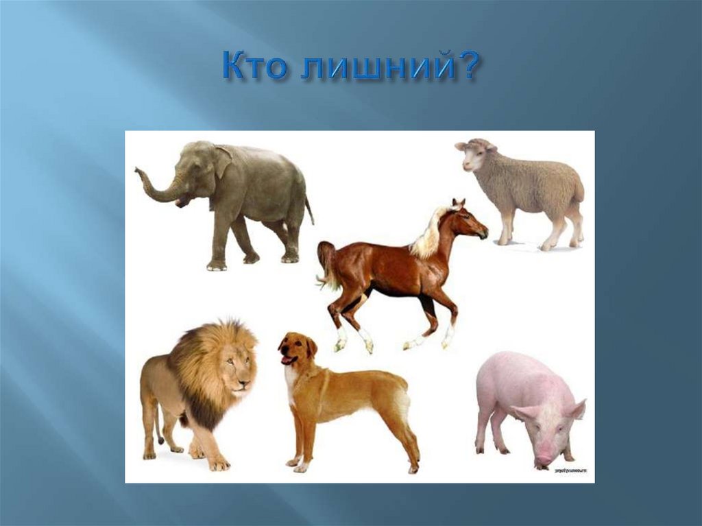 Кто лишний?