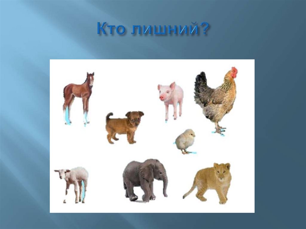 Кто лишний?