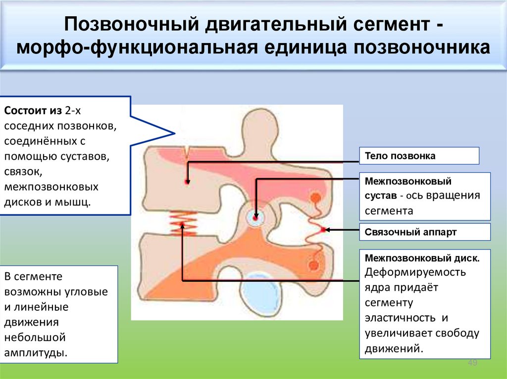 Функциональная основа