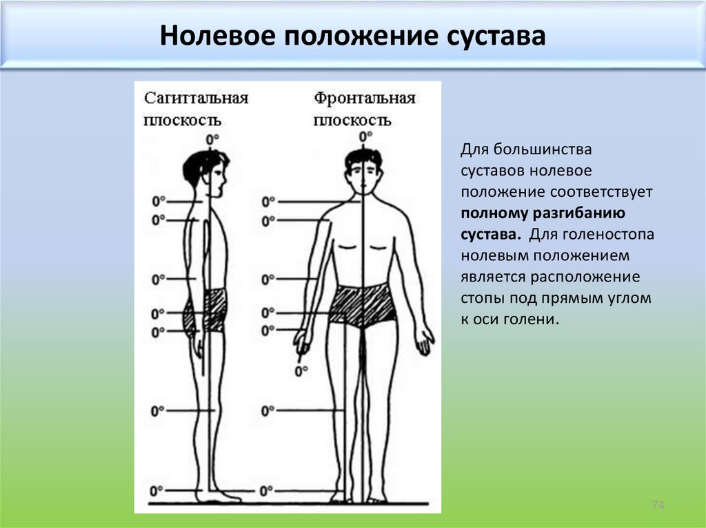 Степени свободы суставов