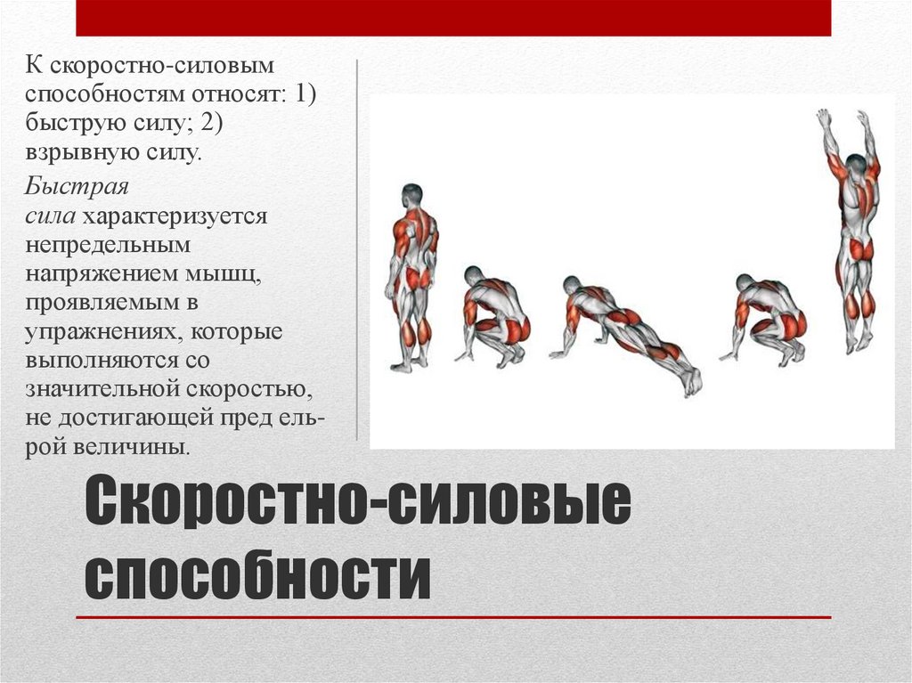 Методика воспитания скоростно силовых способностей