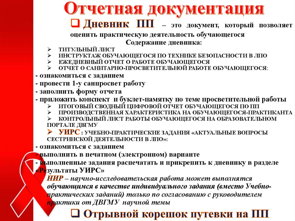 Отчетная документация