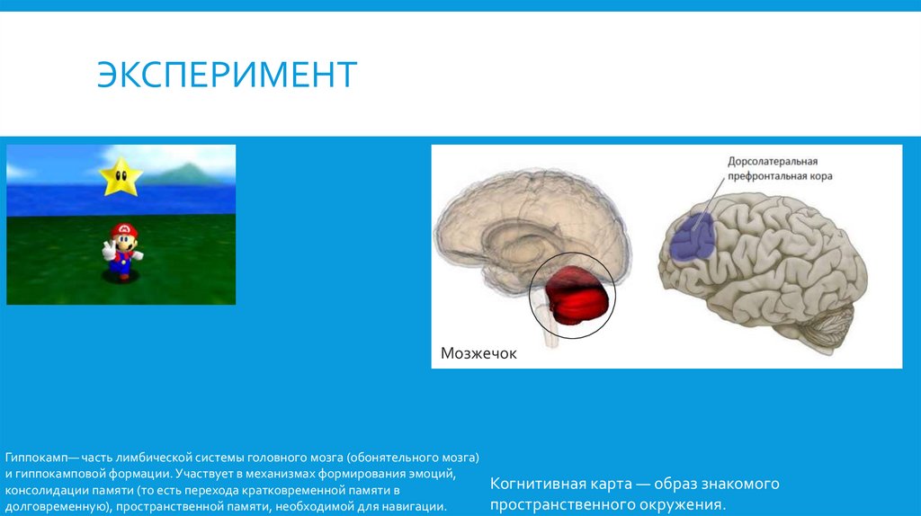 Эксперимент